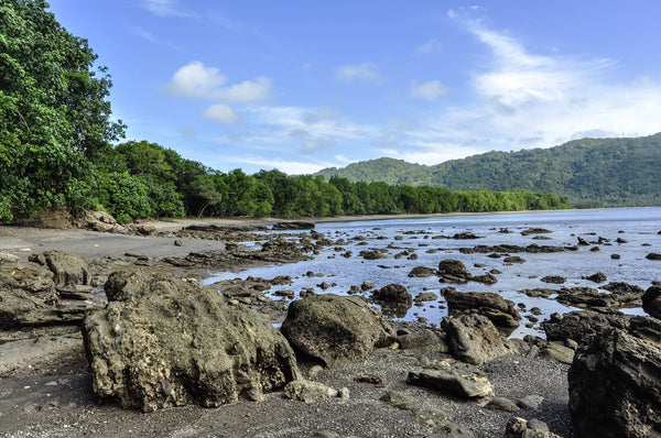 A Rocky Beach