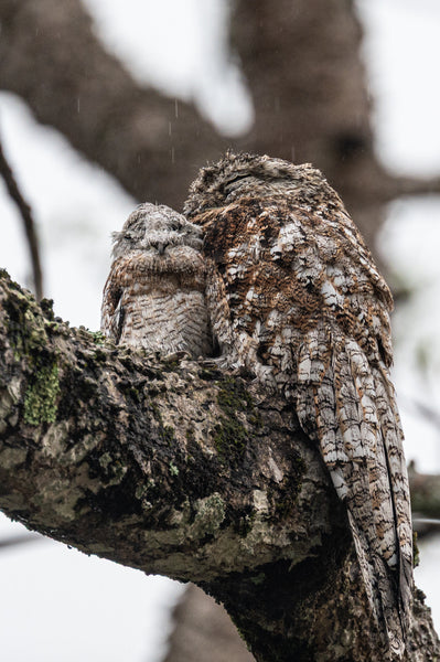 Mom and Baby