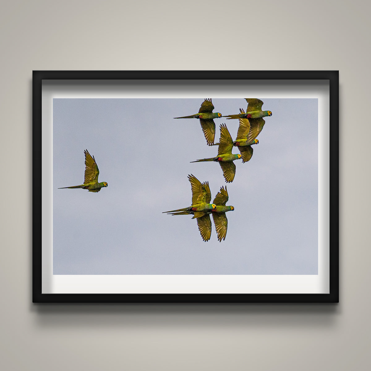 Flying By