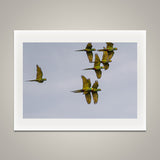 Flying By