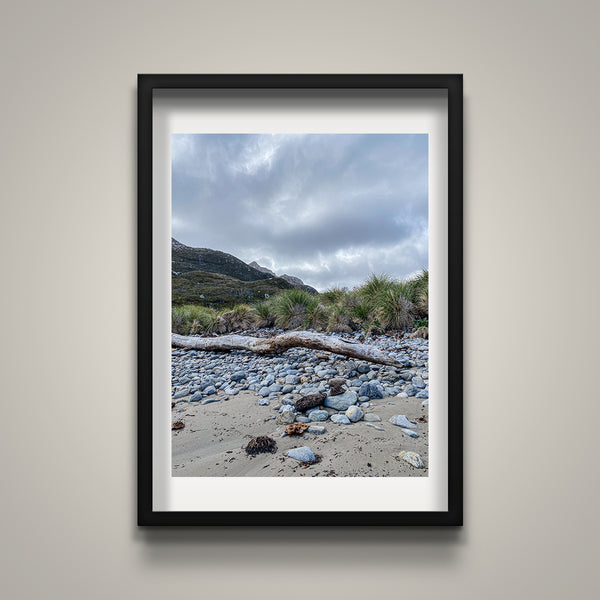 Along the Shore