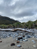 Along the Shore