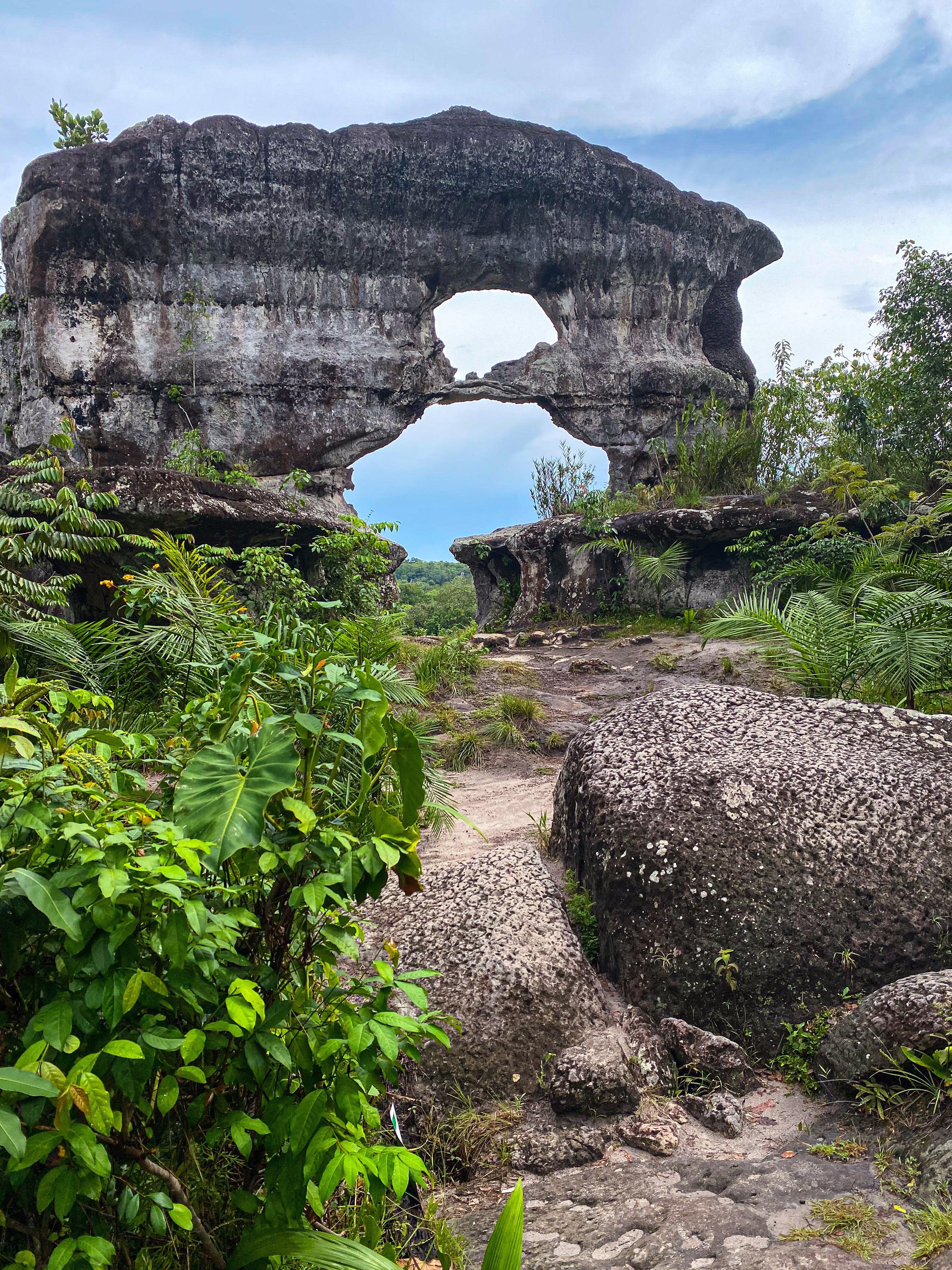 The Orion Gate
