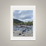 Along the Shore