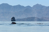 Rocks