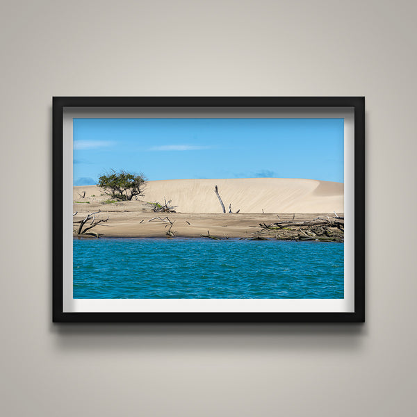 Wind Blown Dune