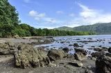 A Rocky Beach