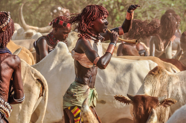 Bull Jumping Frenzy - Omo Valley - Hamar Tribe
