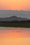 Ducks at Sunset