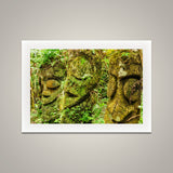 Fern Tree Carvings