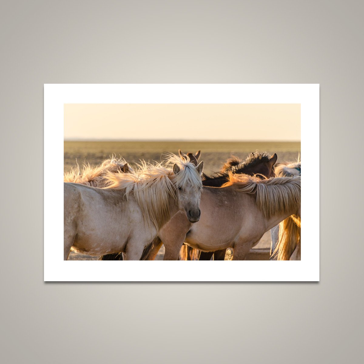 Gobi Horses at Sunrise