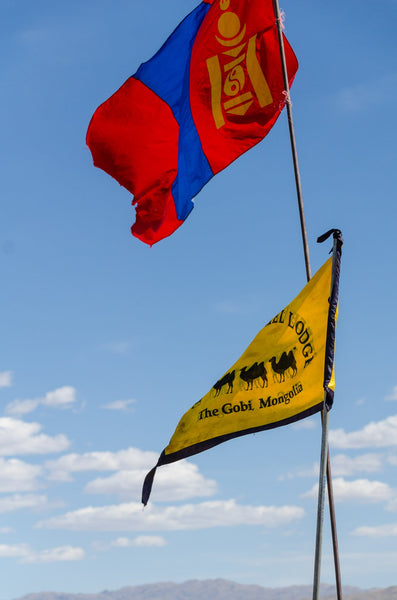 Gobi Mongolia