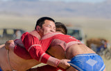 Gobi Wrestlers
