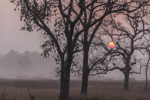 Indian Sunrise