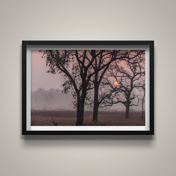 Indian Sunrise