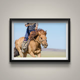 Magnificent Gobi Horse