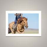 Magnificent Gobi Horse