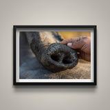 Mahout and His Elephant