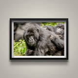 Mom on the Move