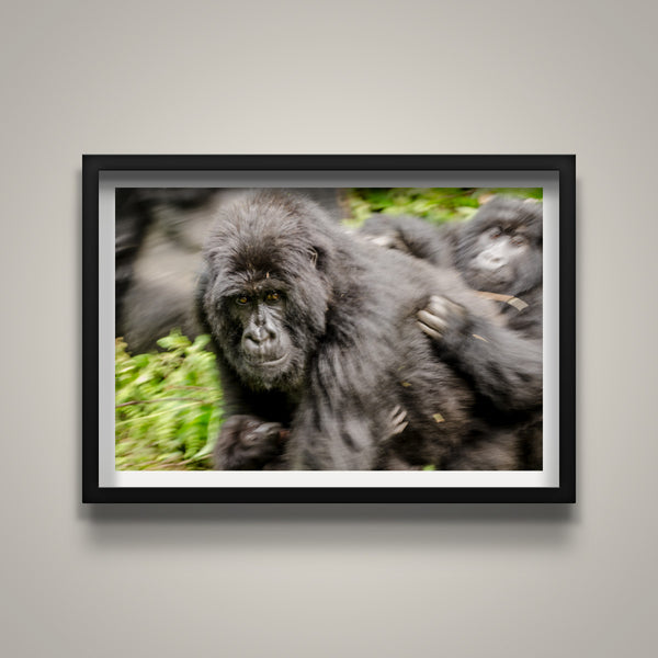 Mom on the Move