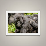 Mom on the Move