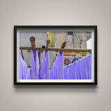 Purple Yarn Drying