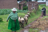 Quechua Village