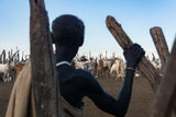 Standing Watch - Omo Valley