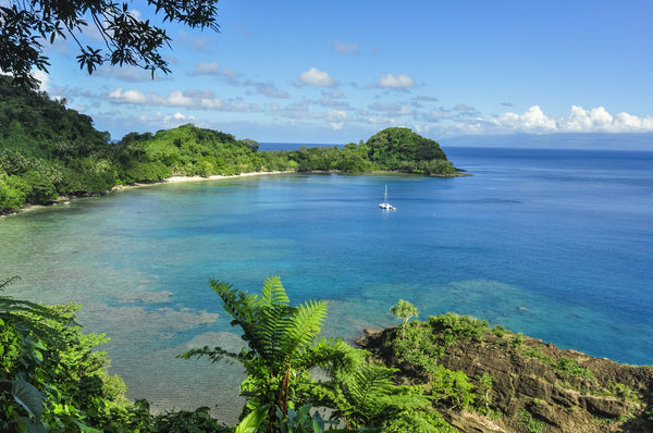 View of the Cove